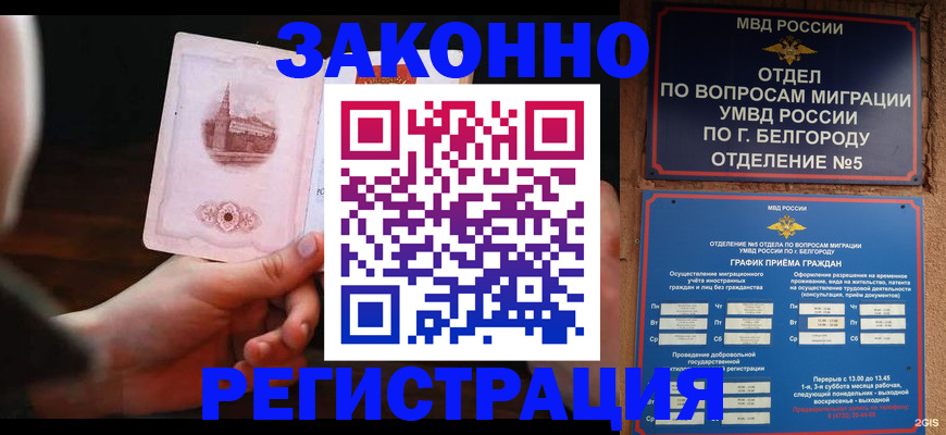 прописка 2025 в Елизово